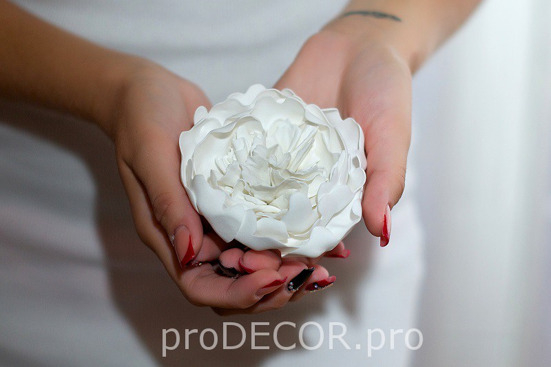 Пионы из Ревелюра - Панеева (2014)_0.jpg